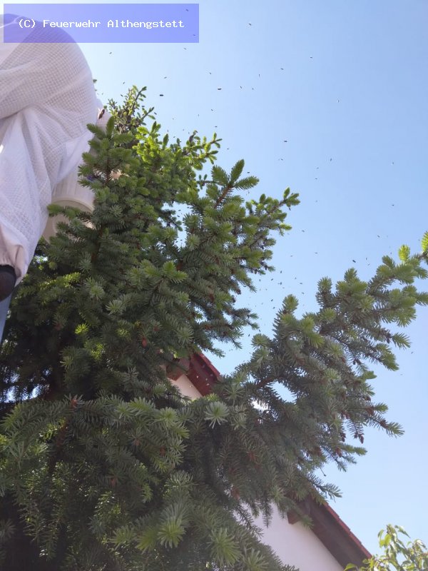 Technische Hilfeleistung